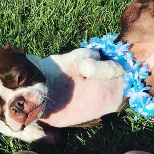 Meet your Posher, Ragan